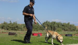 police dog training