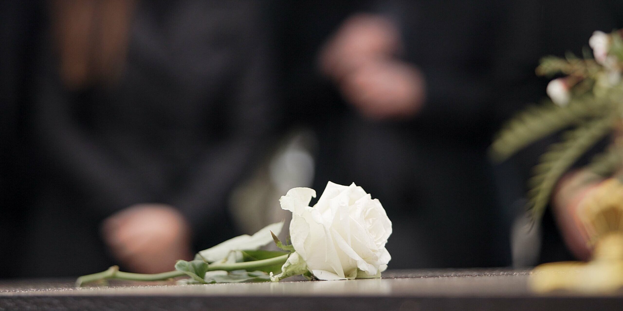 Funeral,,Rose,And,Flower,On,Coffin,In,Cemetery,For,Outdoor